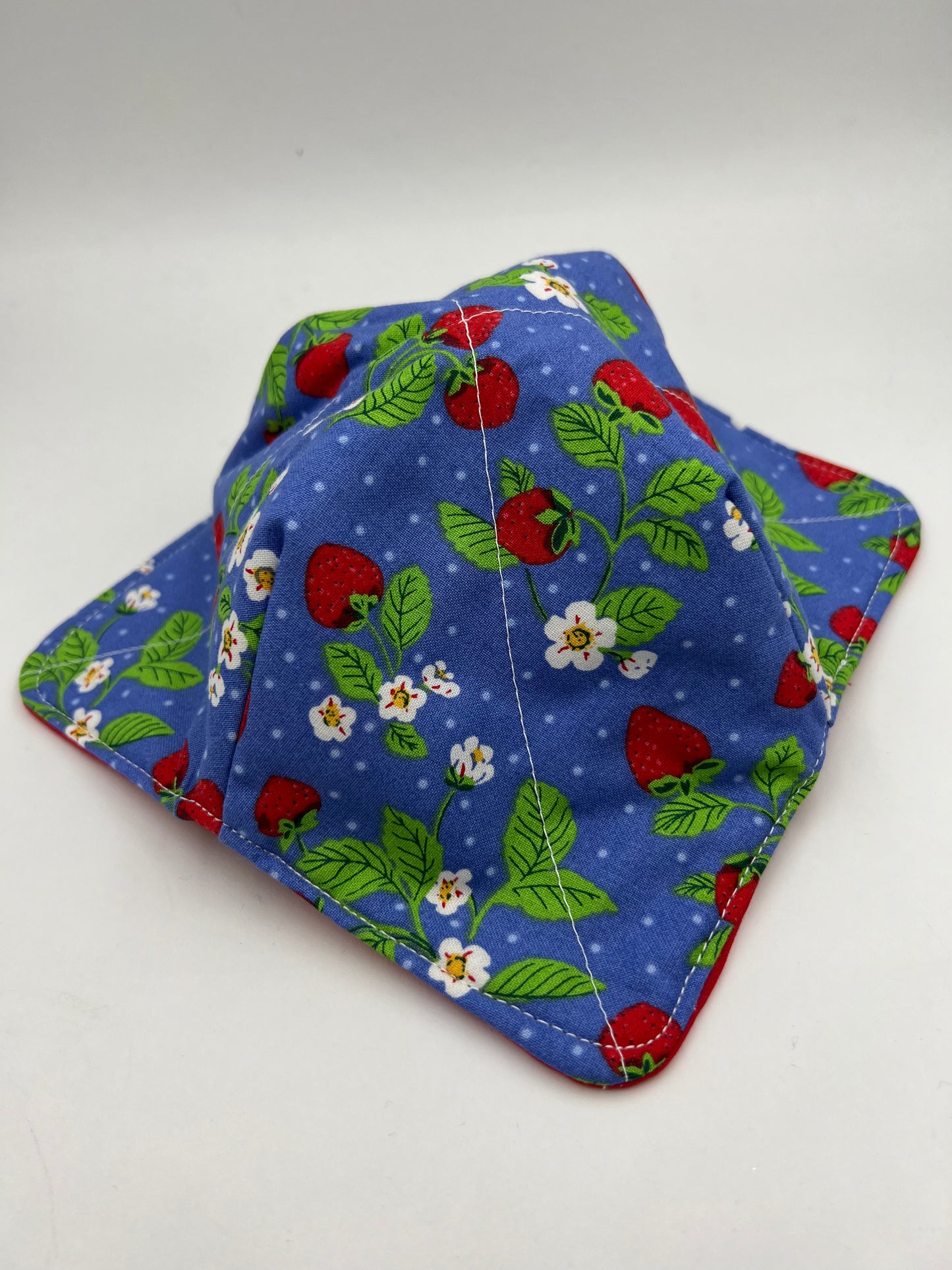 Graphic Strawberry Bowl Cozy